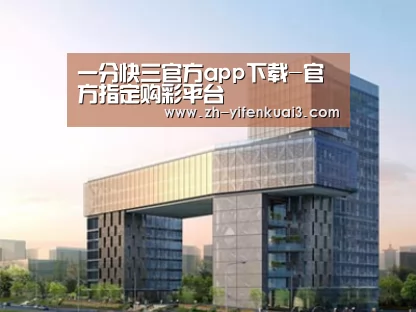案例展示四