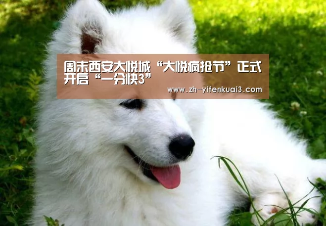 一分快3