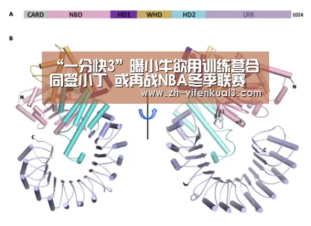 一分快3