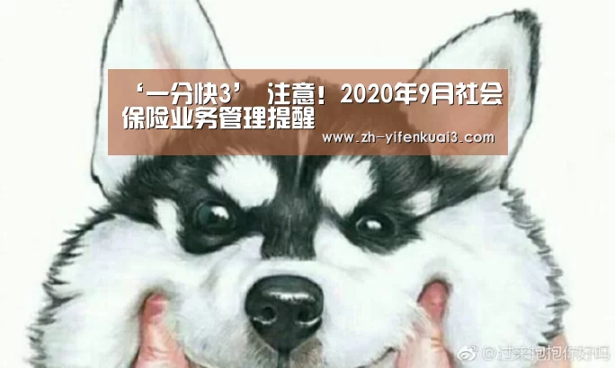 一分快3