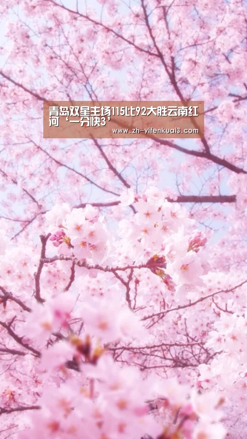青岛双星主场115比92大胜云南红河‘一分快3’(图1) 一分快3