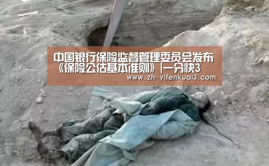 中国银行保险监督管理委员会发布《保险公估基本准则》|一分快3(图3) 一分快3