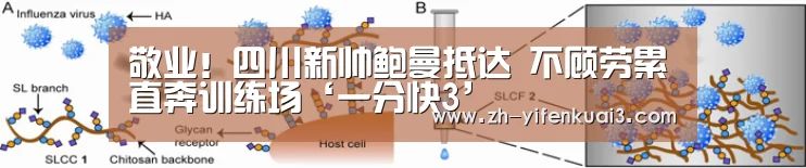 敬业!四川新帅鲍曼抵达 不顾劳累直奔训练场‘一分快3’(图3) 一分快3