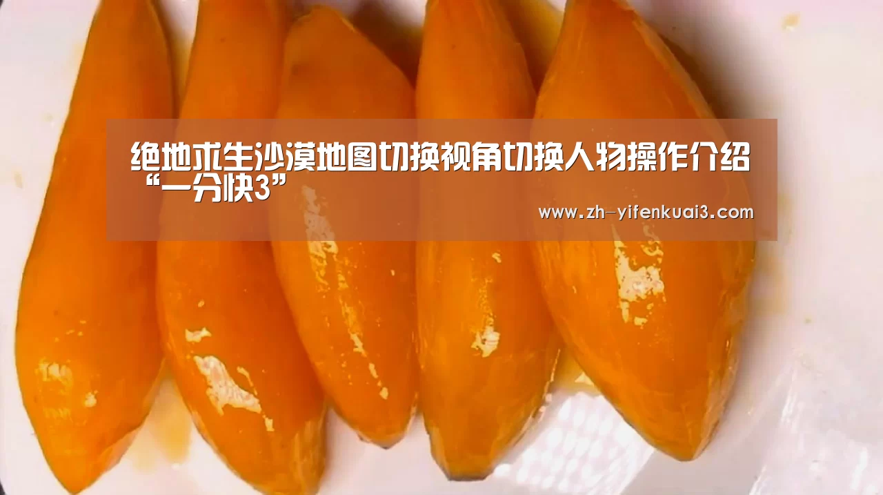 绝地求生沙漠地图切换视角切换人物操作介绍“一分快3”(图4) 一分快3