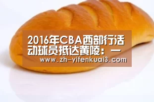 2016年CBA西部行活动球员抵达黄陵:一分快3(图1) 一分快3