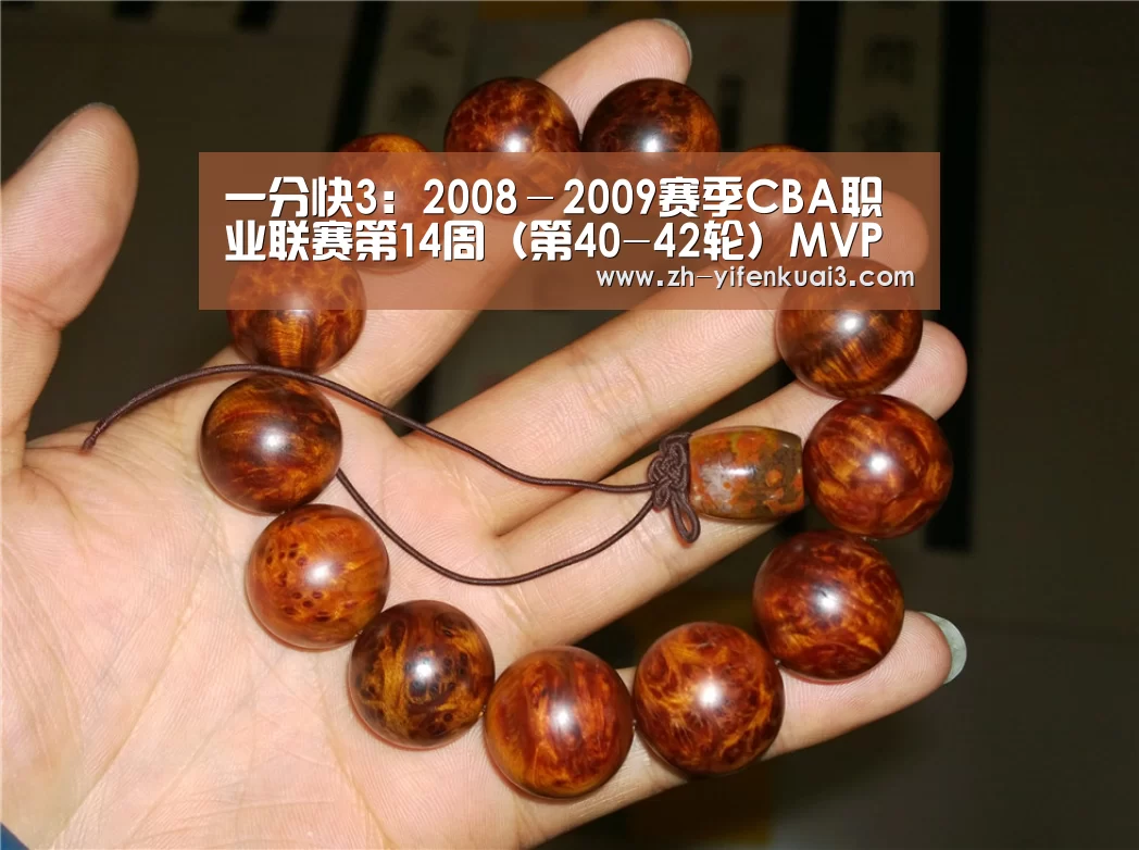 一分快3:2008-2009赛季CBA职业联赛第14周(第40-42轮)MVP(图1) 一分快3