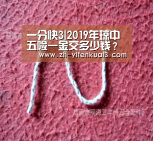 一分快3|2019年琼中五险一金交多少钱?最低标准是多少?(图1) 一分快3