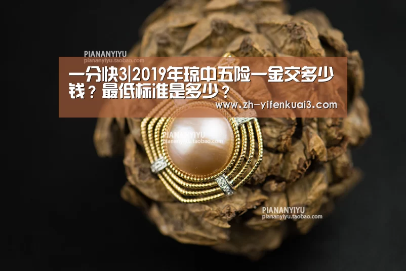 一分快3|2019年琼中五险一金交多少钱?最低标准是多少?(图2) 一分快3