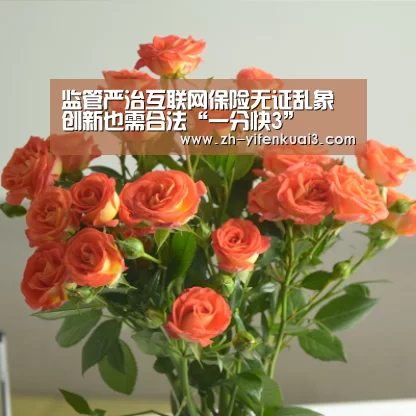 监管严治互联网保险无证乱象 创新也需合法“一分快3”(图3) 一分快3